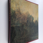 Pietro C. Marani : Leonardo : Leonardo da Vincin taide (n... - pikkukuva 1