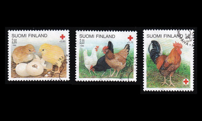 1329-31 o Punainen Risti kanoja (1996)