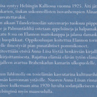 Anna-Liisa Lehtonen: Kengät kuin Tuhkimolla - pikkukuva 4