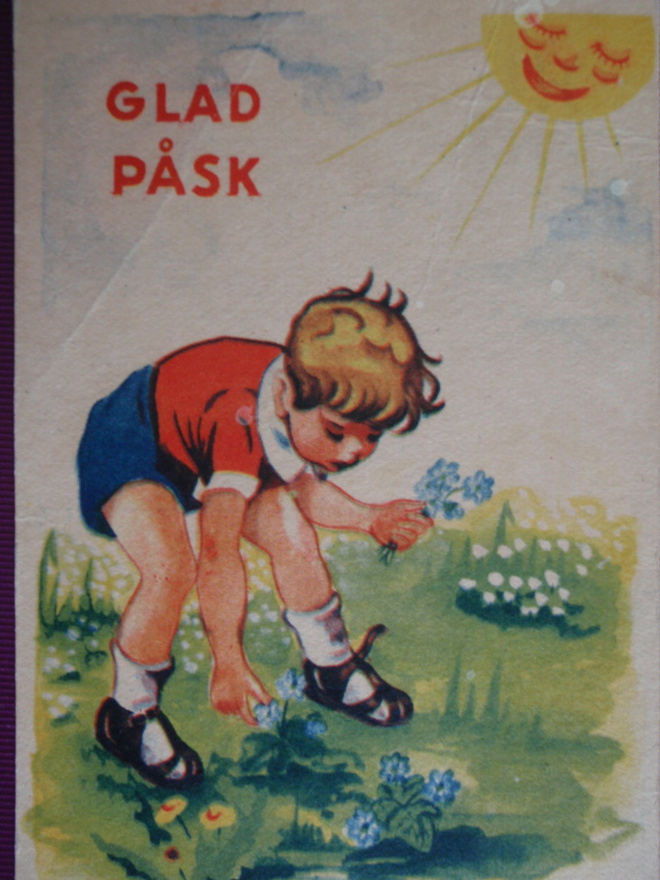 Poika poimii sinivuokkoja VANHA -51