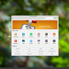 Linux Mint Cinnamon Edition boottava USB Media - pikkukuva 2