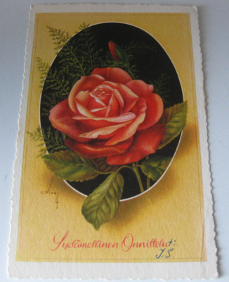 Vanha ruusukortti, v. 1963 kulkenut