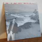 Kauko Röyhkä – Kaksi Koiraa LP - pikkukuva 3