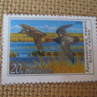 CCCP 1990: sorsia - pikkukuva 5