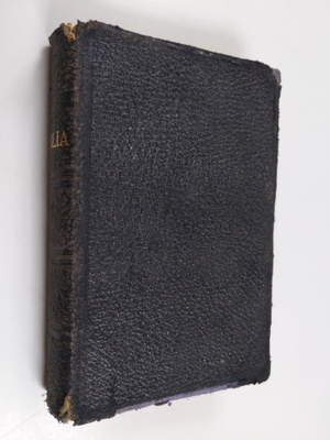 Biblia eli pyhä raamattu (1913) : vanha ja uusi testamentti