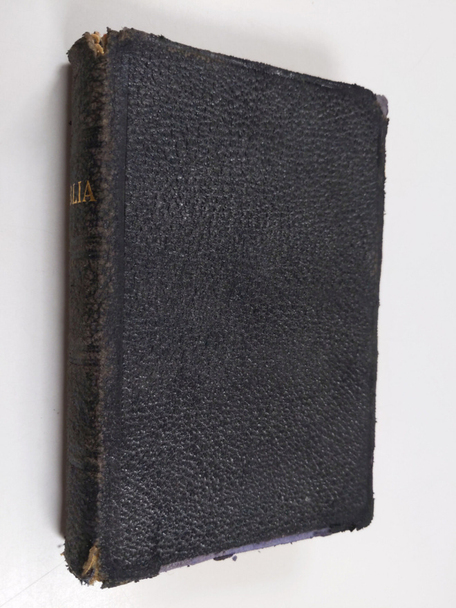 Biblia eli pyhä raamattu (1913) : vanha ja uusi testamentti