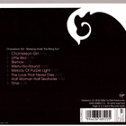MARSH HANNA - Chameleon Girl: Sleeping Under The Risin - pikkukuva 2