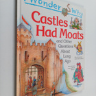 Philip Steele : I wonder why castles had moats and other ... - pikkukuva 1