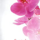 °°Pinkki Orkidea° -KIRJEPAPERIT & KUORET -SETTI / Papeteria - pikkukuva 1