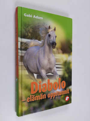 Gabi Adam : Diabolo : elämän oppitunnit