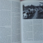 Torjuntavoitto Viipurinlahdella kesällä 1944 - pikkukuva 3