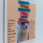 Ted Baer : How to teach your old dog new tricks - pikkukuva 1