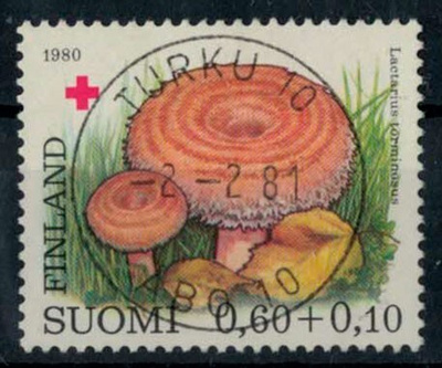 1980 PR 60p loisto TURKU -81