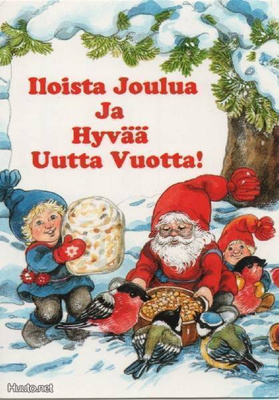 Pitkäranta: Tonttu ruokkii lintuja