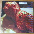 Divinyls – Divinyls (upeassa kunnossa, RARE poprock 1990). - pikkukuva 5