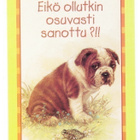 °°EIKÖ OLLUTKIN OSUVASTI SANOTTU?!!°° -KORTTI / Giordano - pikkukuva 1