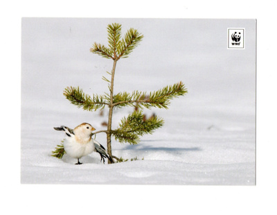 WWF °"PULMUNEN"° -KORTTI /J.Saastamoinen (Kulkematon)