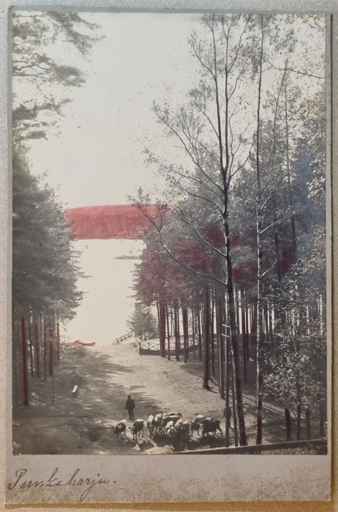 Punkaharju Postikortti originaali