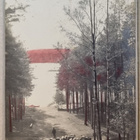 Punkaharju Postikortti originaali - pikkukuva 1