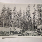 VANHA Valokuva Kuopio 1950-l  Postikortin Alkup.Mallikappale - pikkukuva 1