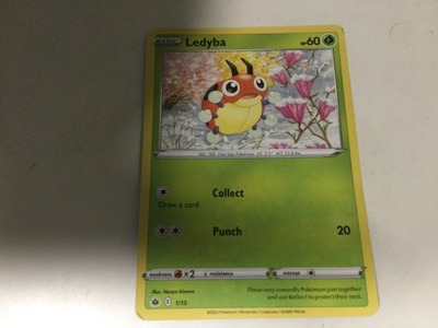 POKÉMON - LEDYBA.