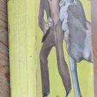 Edgar Wallace: Vihreä jousimies. Otava 1930. 320 s. - pikkukuva 3