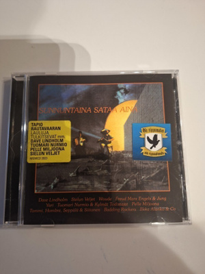 Sunnuntaina Sataa Aina