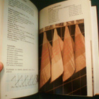Leila Pölkky-Pieskä: KUDO KANGASTA (1.p.1984) Sis.postikulut - pikkukuva 3