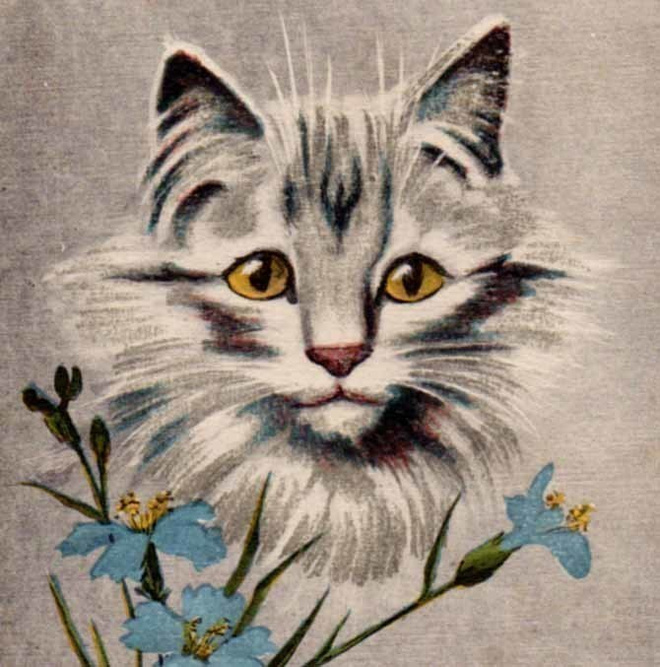 KISSA / Raidallinen kissa - ranskalainen! 1940-l.