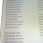 Ritva Bergman (toim.) : Runokirja villiruusu - pikkukuva 2