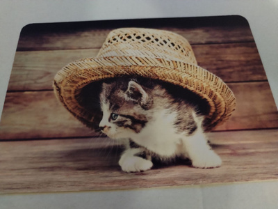 Kissa  kortti, kulkematon.