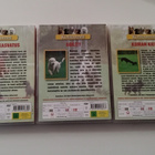 Koiramme dvd boksi agility pennun kasvatus koiran kieli - pikkukuva 5