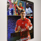 Premier League Stars (1992-2008) : 350 star players - pikkukuva 1