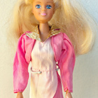 Barbie: Petra Kasari/Ysäri nukke - pikkukuva 1