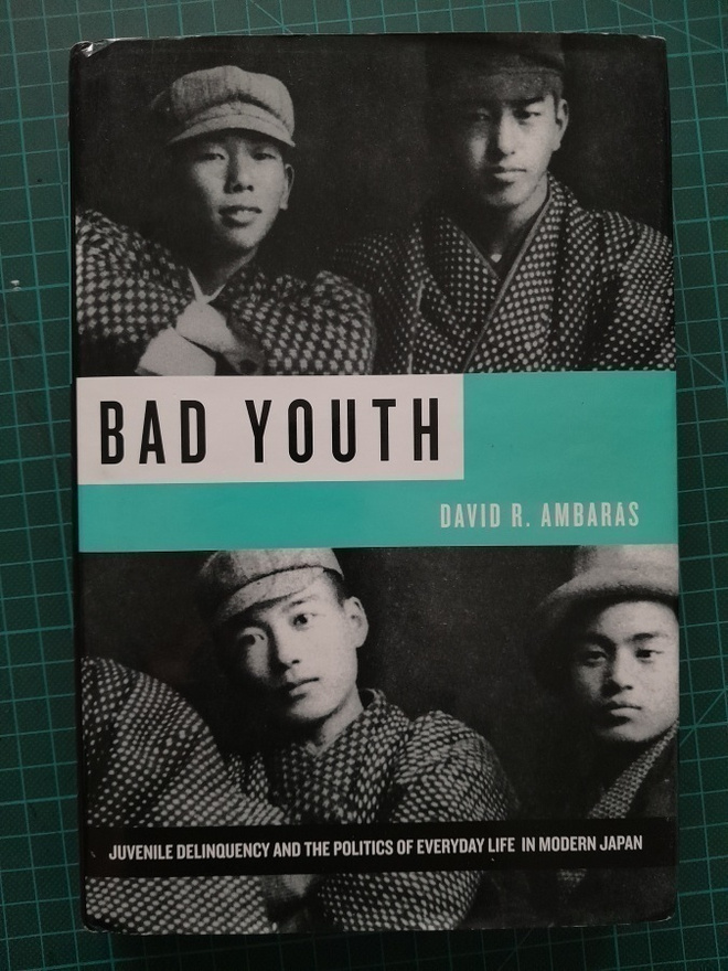 Ambaras - Bad Youth: Juvenile Delinquency in Modern Japan