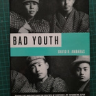 Ambaras - Bad Youth: Juvenile Delinquency in Modern Japan - pikkukuva 1