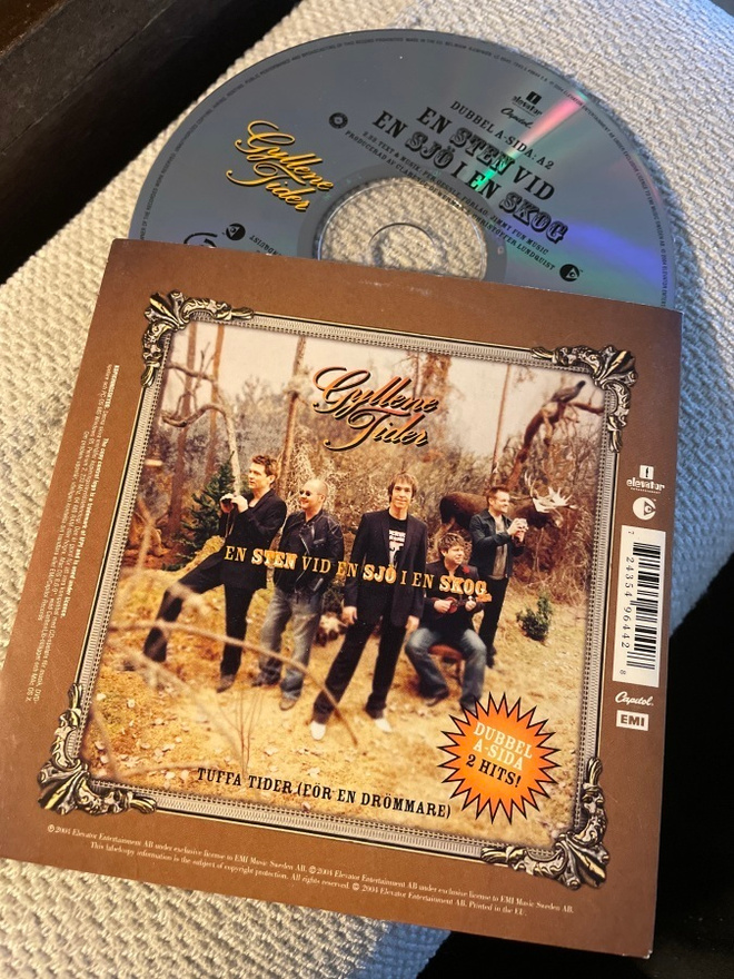 Gyllene Tider / en sten vid en sjö i en skog CDS single