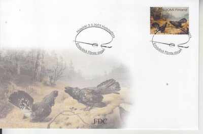 FDC 2003 taistelevat Metsot.
