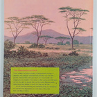 Winifred R. Carey : The Hippopotamus Book - pikkukuva 2