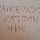Mika Kari "Vaikeuksista voittoon" - pikkukuva 4