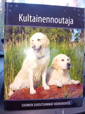 KULTAINENNOUTAJA - Suomen suosituimmat koirarodut (Sis.pk:t)