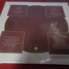 WIGWAM - LUCKY GOLDEN STRIPES AND STARPOSE UUSI 2LP - pikkukuva 2