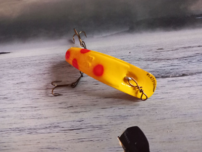 Helin flatfish F6