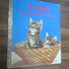 TIINAN SUURI SALAISUUS ( 3.p v 1975 - pikkukuva 1