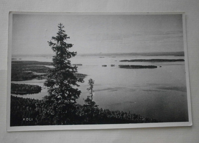Koli, järvimaisema, valokuvapk SMY N:o 1205, p. 1950