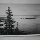 Koli, järvimaisema, valokuvapk SMY N:o 1205, p. 1950 - pikkukuva 1