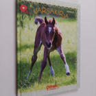 Sofia Wallin : Varsakirja - pikkukuva 1