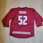 Jääkiekko keräily Gameworn - pikkukuva 2