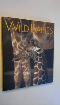 Nan Richardson : Wild babies