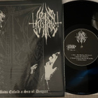 Drowning The Light / Lone Suffer – split 10” - pikkukuva 1